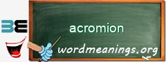 WordMeaning blackboard for acromion